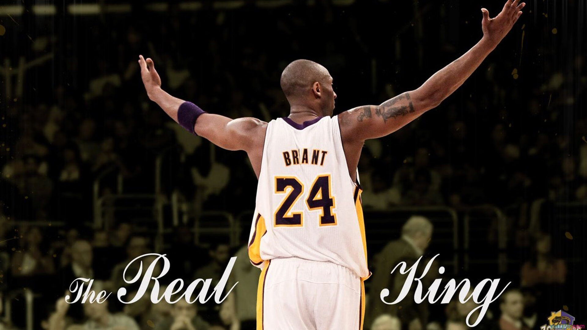 WCBA季后赛广东女篮力克四川问鼎冠军，广东女篮比赛视频